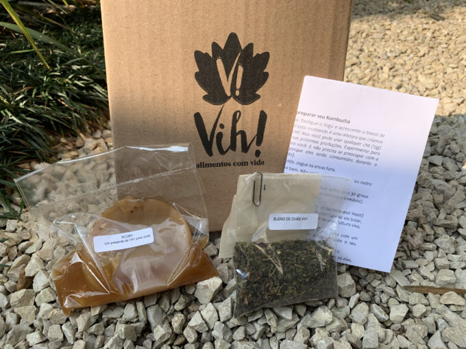 Mini Kit Kombucha DIY