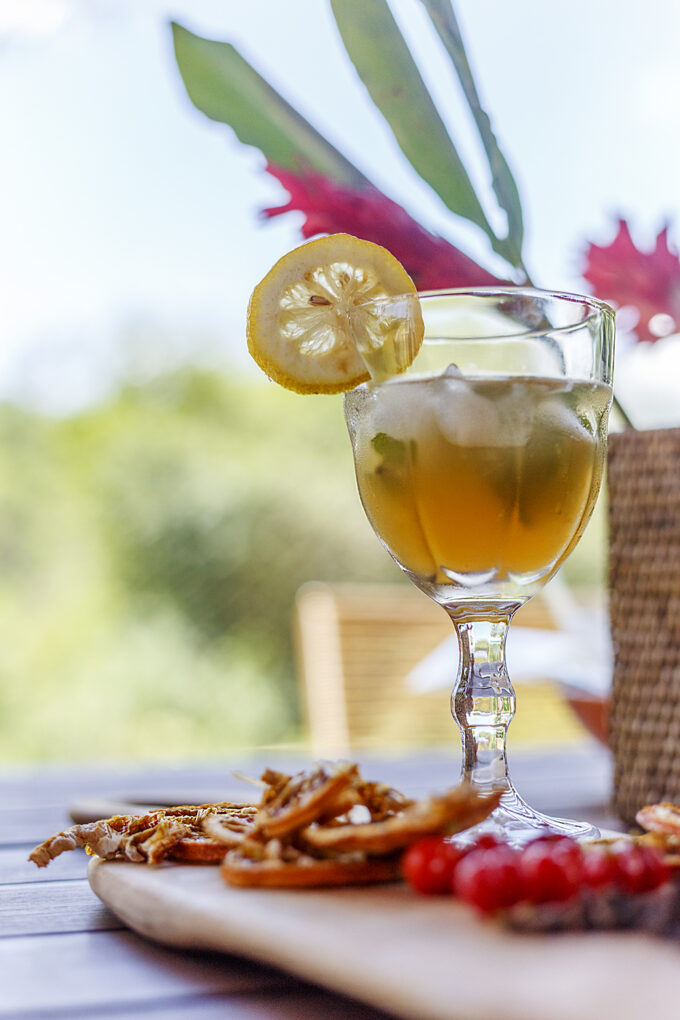 Kombucha Caixa Degustação Vih!